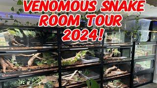 Snake room tour 2024! Venomous and Non Venomous!