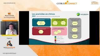 Uso sostenible de acaricidas en cítricos: Estrategias de control, Citrus Connect.