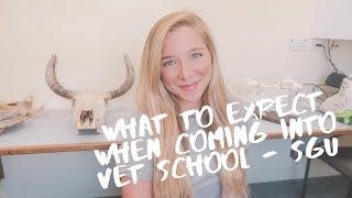 WHAT TO EXPECT WHEN COMING INTO VET SCHOOL - SGU