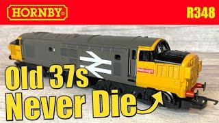 Old Hornby Class 37s Never Die | Secondhand Model Railway Reviews | OO Scale R348