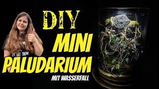 Ich baue ein MINI PALUDARIUM - Schritt für Schritt DIY Anleitung, das Ergebnis wird dich umhauen!