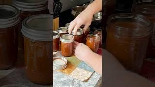 Homegrown A1 Inspired Steak Sauce #canning #homesteading #garden #OhioZone6b