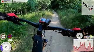 Yankee Springs MTB Trail (deep lake unit) RED Direction full 13 miles