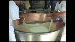 IL PARMIGIANO REGGIANO: 2a PARTE