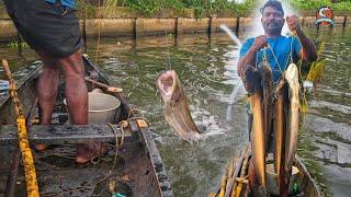 കല്ലടമുട്ടി കൊരുത്ത് പിടിച്ച ആറ്റുവാള |Earth Lovers Media |Real life vlog