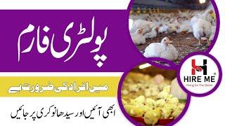 Poultry form job in lahore 2024 | Industries line job in pakistan apply only  Latest  job 2024