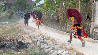 DIKEJAR DUA BARONGAN NGAMUK SEMUA LANGSUNG KABUR !! Arak Arakan Barongan Blora TARUNO ADI JOYO