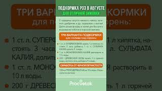  Чем подкормить розы в конце лета? Сохраняйте в закладки!