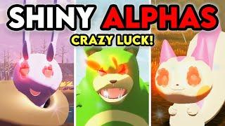 CRAZY SHINY ALPHA LUCK!! + 25 MORE in Pokemon Legends: Arceus