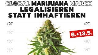 Legalisieren statt Inhaftieren! - GMM 2023