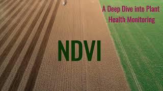 NDVI: A Deep Dive into Plant Health Monitoring