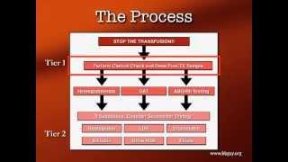 Transfusion Reactions Part 1