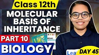 Class 12 Biology | Part 10 - Molecular Basis of Inheritance 