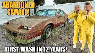 First Wash in 12 Years: BARN FIND Camaro ft. Robby Layton! | Car Detailing Restoration