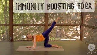 Immunity Boosting Yoga Routine: Fendable (open level)
