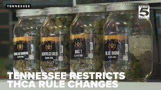 Tennessee judge temporarily restricts THCA rule changes