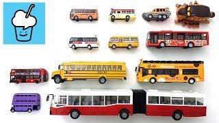 Different Bus Types Reviews with tomica トミカ siku