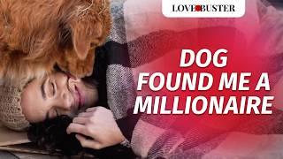 Dog Found Me A Millionaire | @LoveBuster_