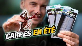 CARP FISHING FILM: CARPES EN ETE ( Bruno Médou)