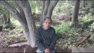 Paul Gautschi Back to Eden Garden Live Stream 5-30-25