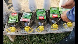 SEMINARE INSALATA NEI BIDONI DI RECUPERO orto nel balcone orto nel terrazzo