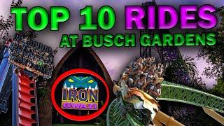 Top 10 BEST Rides at Busch Gardens Tampa (2022)