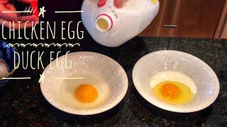 Chicken Egg vs Duck Egg: A Comparison