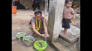 Myvillage official videos EP 997 || Washing and cooking technology of green vegetables