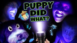 PET LIGHT DETECTOR?? Puppy in Trouble! (FUNnel V Fam Vlog)