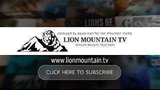 LION MOUNTAIN TV