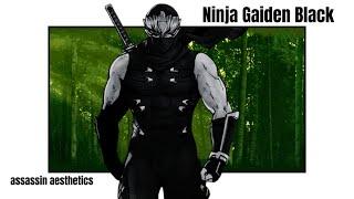 Ninja Gaiden Black is AESTHETIC as heck