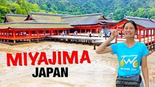 Day Trip to Miyajima Island - Japan Walking Tour 4K