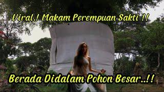 Viral.! Makam Perempuan Sakti | Berada Dalam Pohon Besar..!!