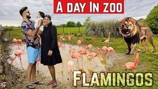 A day in UK’s one of the biggest Zoos..