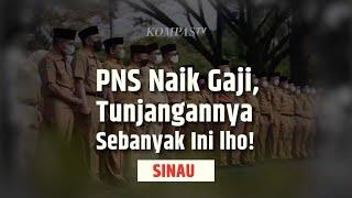 Tahun 2024 PNS Naik Gaji, Ternyata Tunjangannya Segini | SINAU