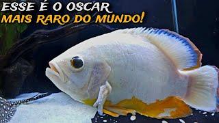 ENCONTREI O OSCAR MAIS RARO DO MUNDO!