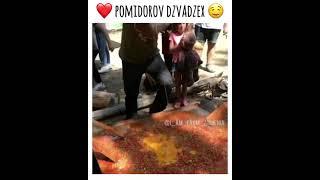 Pomidorov dzvadzex | яичница с помидорами | шакшука #armenianfood #armenia