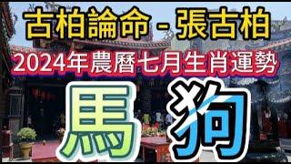 【古柏論命每月運勢+吉日凶日】2024年農曆七月(陽曆2024年8/4 ~ 9/2)生肖運勢分享 -  馬、狗