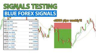 Signals Testing. Blue Forex Signals (2000+ pips weekly guaranteed?!)