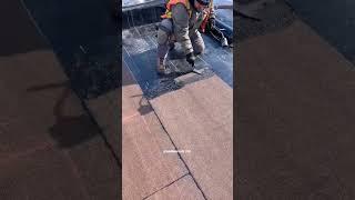 Embedding granules on a modified bitumen roof.  #roof #roofer #roofing #roofershelper #shorts