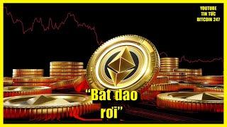 Ethereum đối mặt với cảnh báo “dao rơi”, Cardano là tài sản phù hợp để dự trữ?