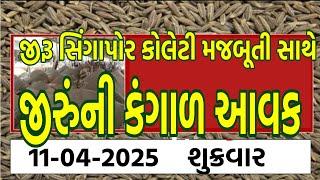 જીરૂ બજારની ચાલ,જીરૂમાં સટાસટી, જીરૂમાં તેજીનો તરખાટ, મસ્ત તેજી જીરૂના ભાવમાં, 11/4/25 #BAZAREXPRESS
