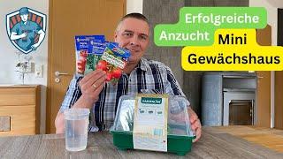  Aussaat März│Gemüse erfolgreich vorziehen│Anleitung