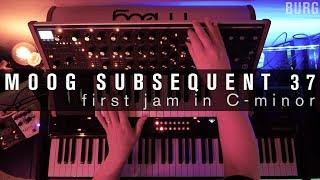 Moog Subsequent 37 - jam no.1 in C-minor #moog #subsequent37