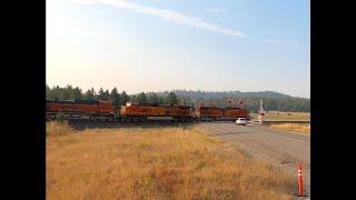 Railroad Crossing Railfan at the End of a Warm Summer Day