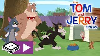 Tom & Jerry | Matforvirringen | Boomerang Norge
