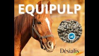 EQUIPULP : la pulpe de betterave - spécial CHEVAL - testé SNAP pour les chevaux de courses