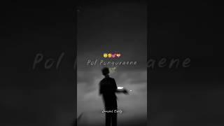 Potta Pulla Thottathume#lyrics_whatsapp_status #tamillovestatus #tamilwhatsappstatus #trending