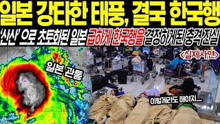 [해외감동사연] "일본 강타한 태풍 결국 한국행", 산산으로 초토화된 일본 급하게 항국행을 결정하게 된 충격 진실