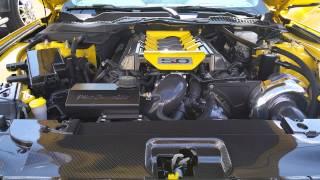 2015 Mustang GT Procharger Startup